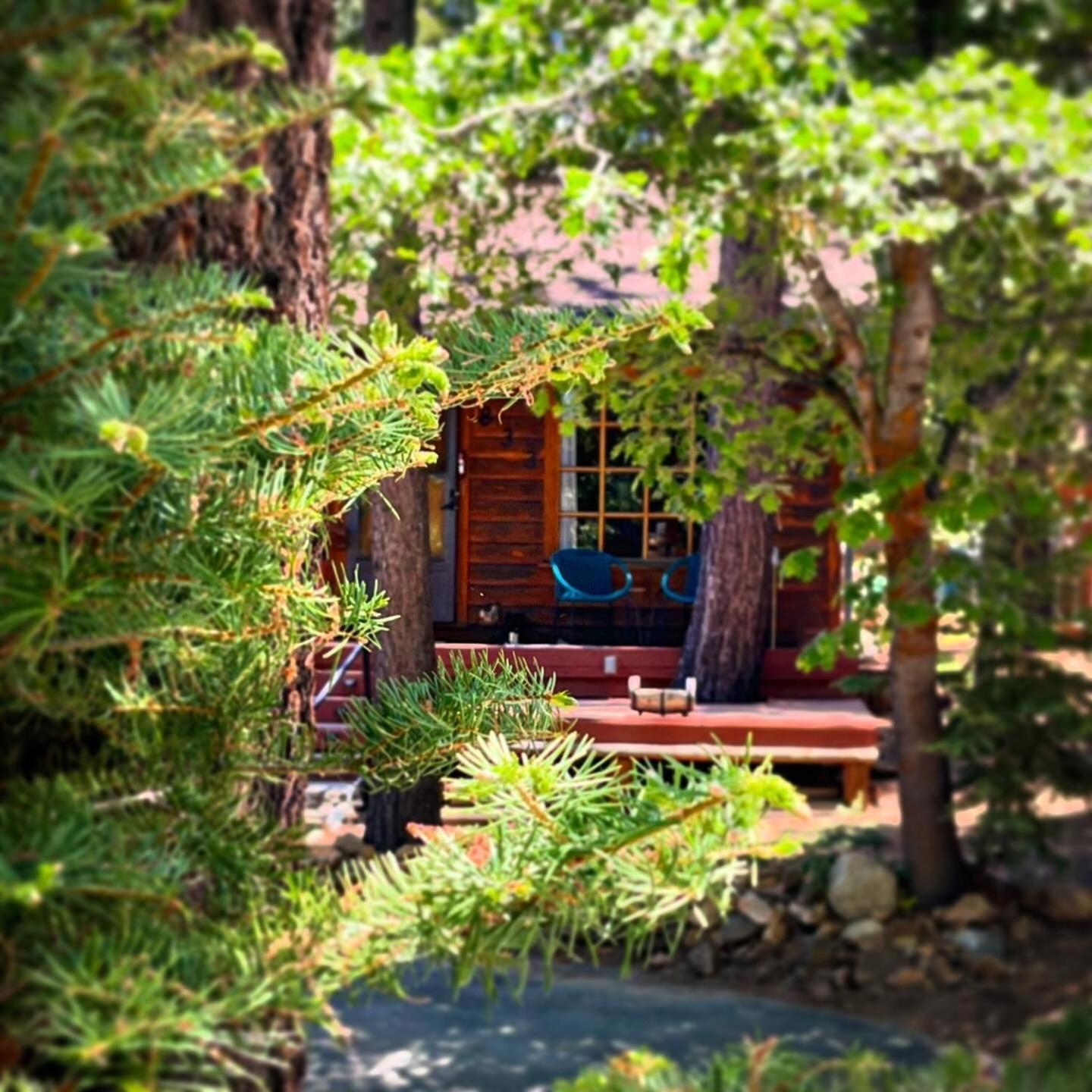 The Nest On Towne Trail - Hot Tub, Bbq, Fire Pit Βίλα Big Bear Lake Εξωτερικό φωτογραφία
